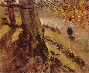 Studie von Baumstämmen